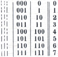 bina binary binaryama parinktis
